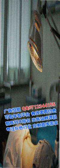 渭滨借腹生子翻译事务所